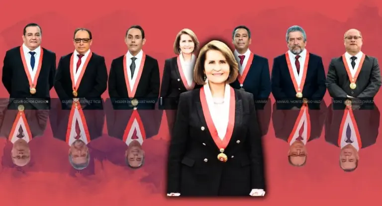 Luz Pacheco: the behind-the-scenes of her resignation from the presidency of the TC and what comes next