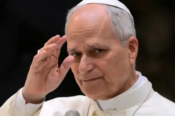 Pope Leo XIV points out the urgent challenge of the relationship between "mental health and digital technologies"