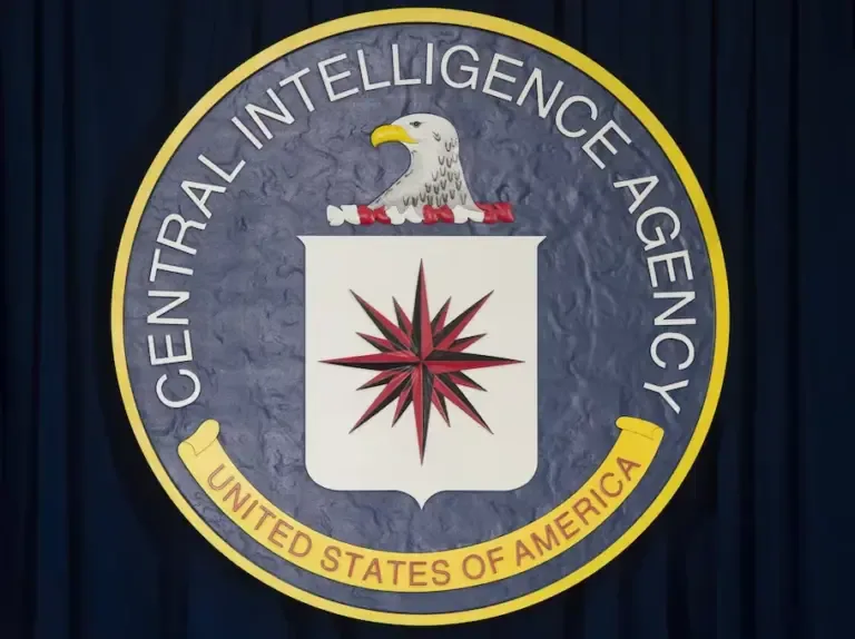 The seal of the Central Intelligence Agency (CIA) is seen at the CIA headquarters in Langley, Virginia, on April 13, 2016. (Photo by SAUL LOEB / AFP).