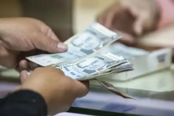 July bonus: how to turn this extra income into an opportunity to strengthen personal finances?