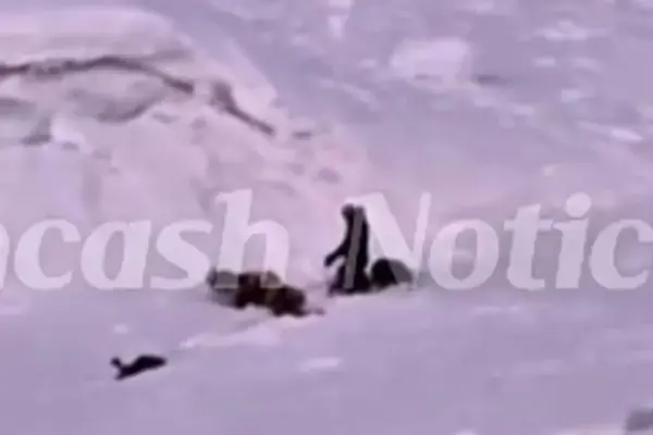 Huascarán: new avalanche leaves three mountaineers affected