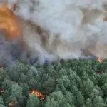 A fire, likely caused intentionally, ravages part of the iconic Fontainebleau forest, near Paris