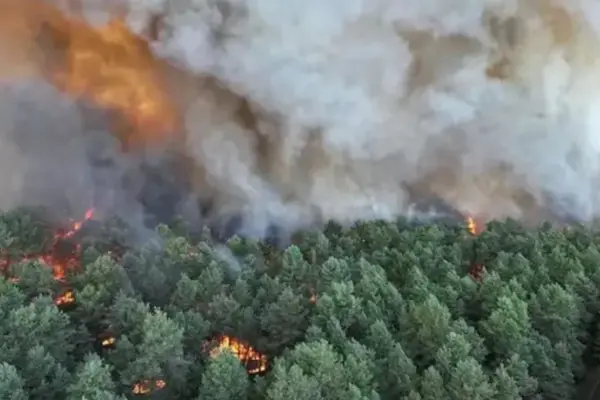 A fire, likely caused intentionally, ravages part of the iconic Fontainebleau forest, near Paris