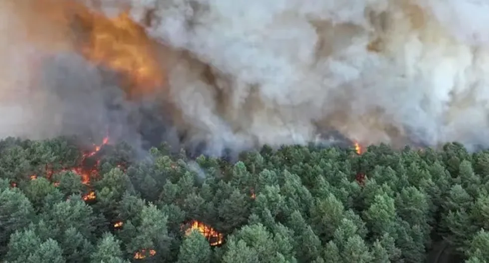 A fire, likely caused intentionally, ravages part of the iconic Fontainebleau forest, near Paris