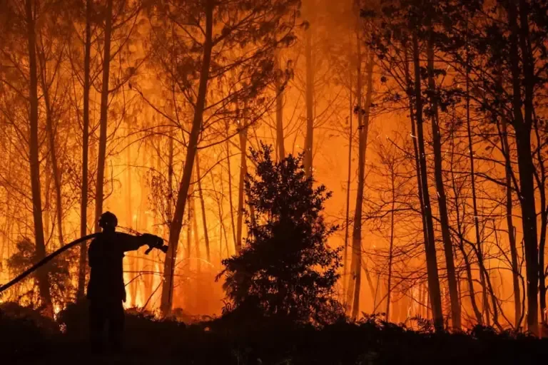 A photograph provided by SDIS33 shows a team of firefighters deployed to combat a forest fire spreading in Ares, southwest France, late on July 25, 2026. Photo: EFE/EPA/DAMIEN REMBERT