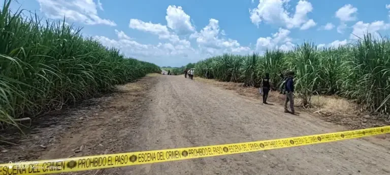 The bodies were found in a sugarcane field. (Guatemalan National Civil Police).
