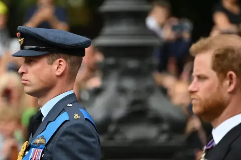 Prince William of Great Britain, Prince of Wales (left), and Prince Harry participate in the procession following Queen Elizabeth II's coffin on September 19, 2022. (Photo by SEBASTIEN BOZON / AFP).