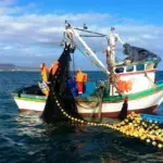 Ministry of Production declares fishing and aquaculture in emergency