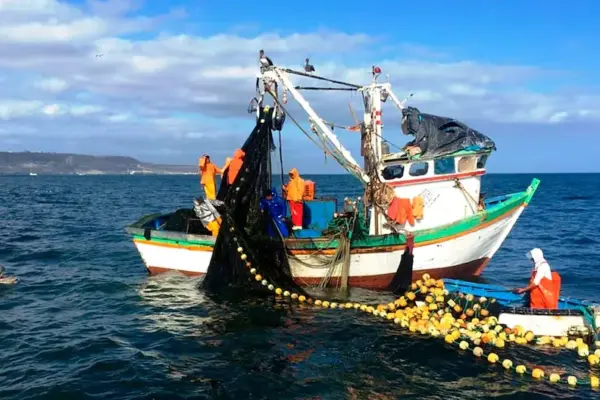 Ministry of Production declares fishing and aquaculture in emergency