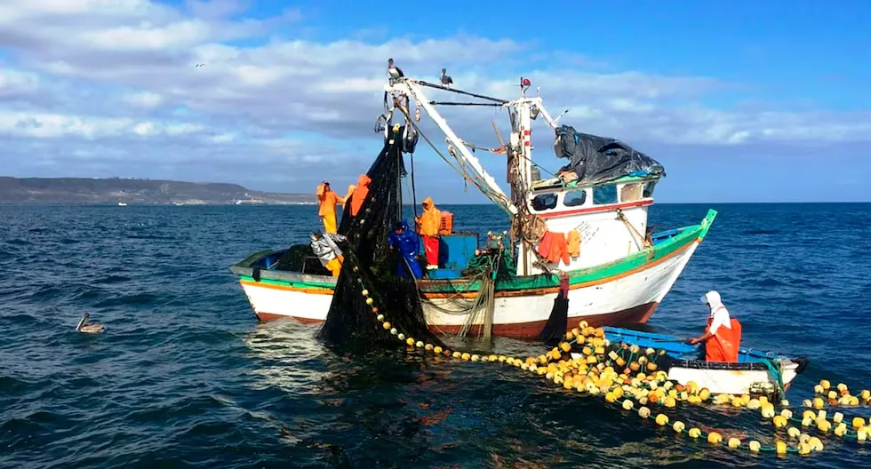 Ministry of Production declares fishing and aquaculture in emergency
