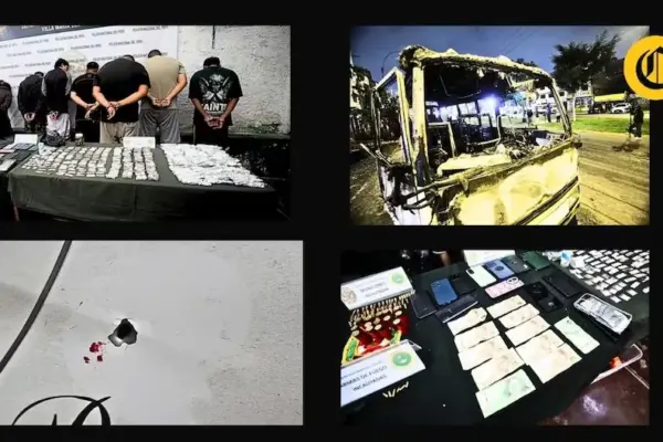 Intelligence operations of the DINI, criminal organizations such as terrorists and more: the other powers