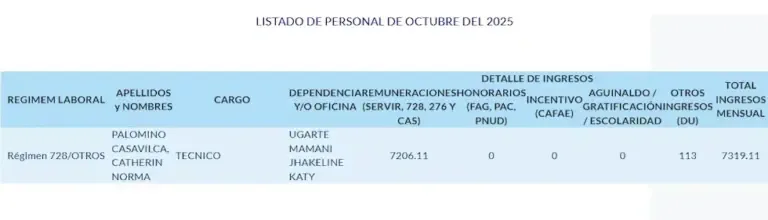 Catherin Palomino's income in October 2025. No deductions were made. (Photo: Congress Transparency Portal)