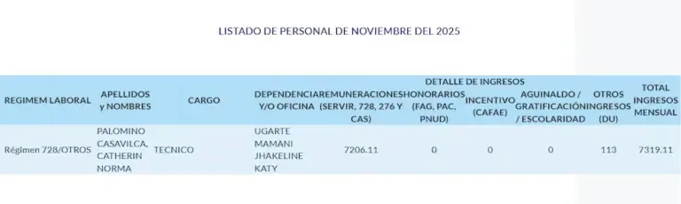 Catherin Palomino's income in November 2025. No deductions were made. (Photo: Congress Transparency Portal)
