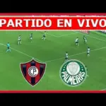 Cerro vs. Palmeiras LIVE - what time is the match and where to watch it ONLINE for Copa Libertadores
