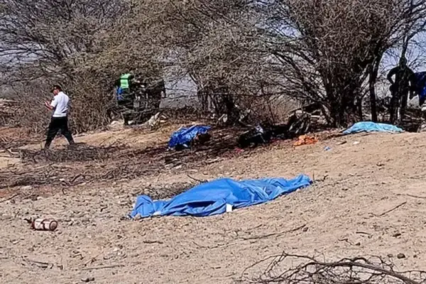 Nasca Tragedy: the timeline of the flight that led the MTC to suspend Aerodiana operations