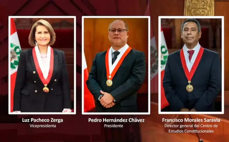 Pedro Hernández: Who is the magistrate who was elected the new president of the Constitutional Court?