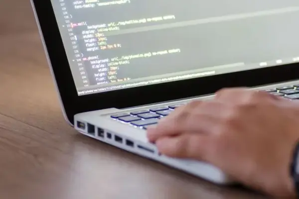 Programmer's Day: what it is and why this date is celebrated