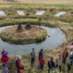 To the rescue of the waru waru, the ancient farming technique that could be our cutting-edge technology against severe climate change