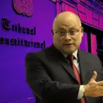 Pedro Hernández: Who is the magistrate who was elected the new president of the Constitutional Court?
