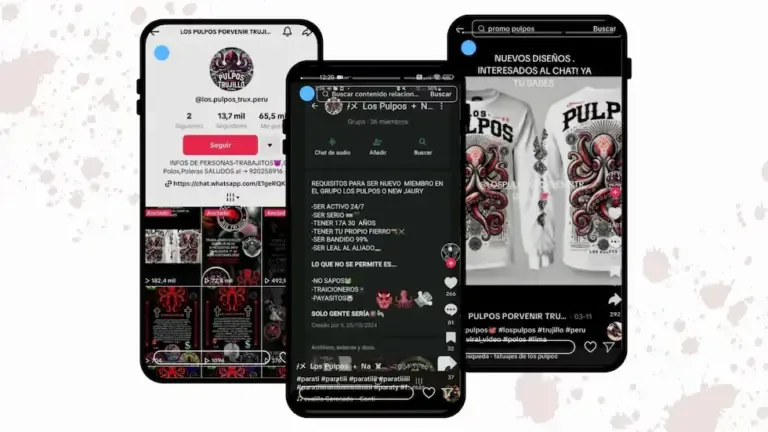 Criminal organizations expose their actions and provide services through social networks.